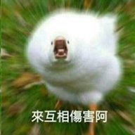 l6e6o616