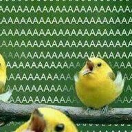 AAAAA