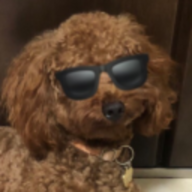 Gary