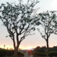 r86755229@gm