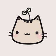 user4271