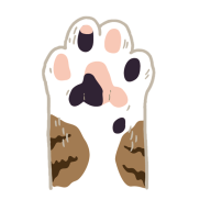 bobowe
