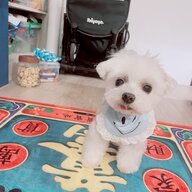 sean130912