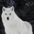 whitr_wolf