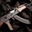 ak401711