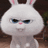 RabbitCuipd