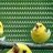 AAAAA