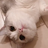 loui0215