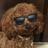 Gary