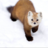 MarteN